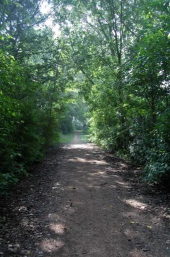 Ga rechtsaf naar het Wemeldingse bos